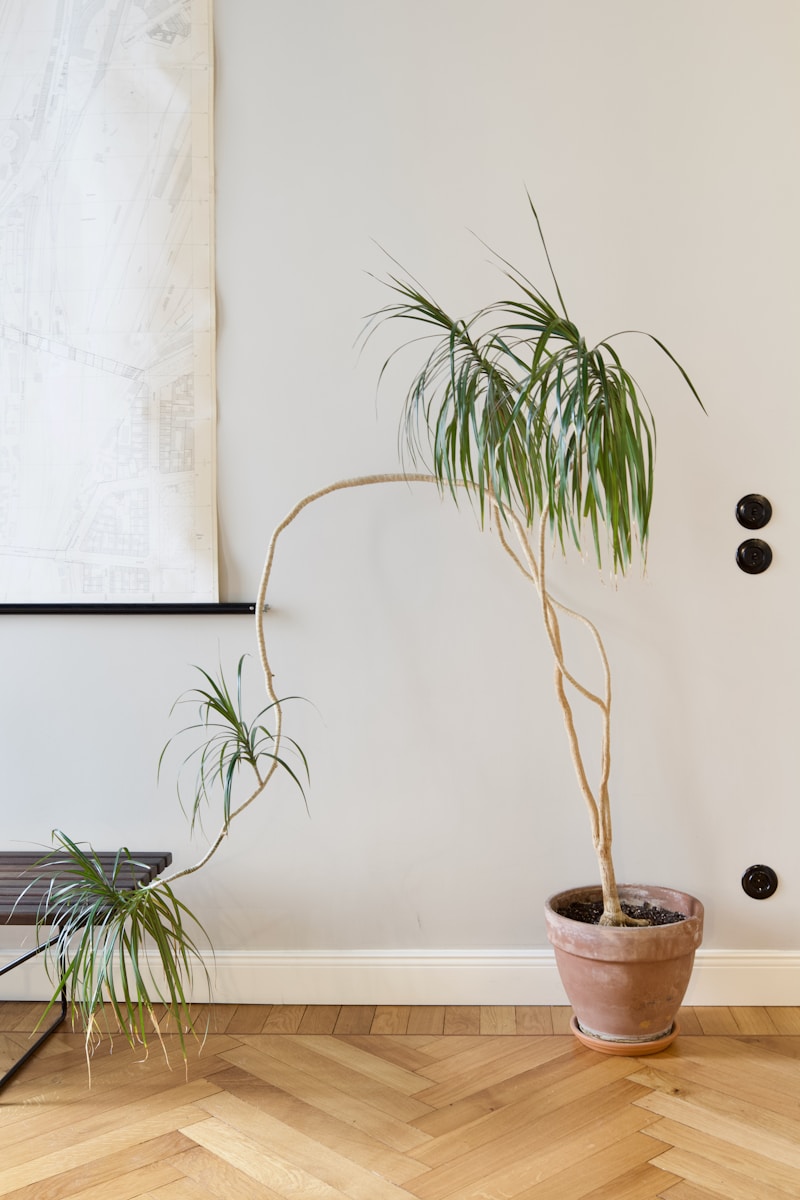 een groene plant